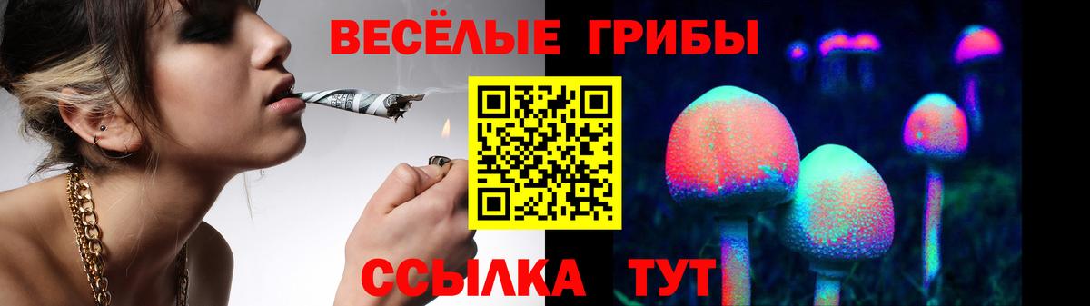 Псилоцибиновые грибы Magic Shrooms  Галлюциногенные грибы MAGIC MUSHROOMS  Вход с VPN  Дмитров 